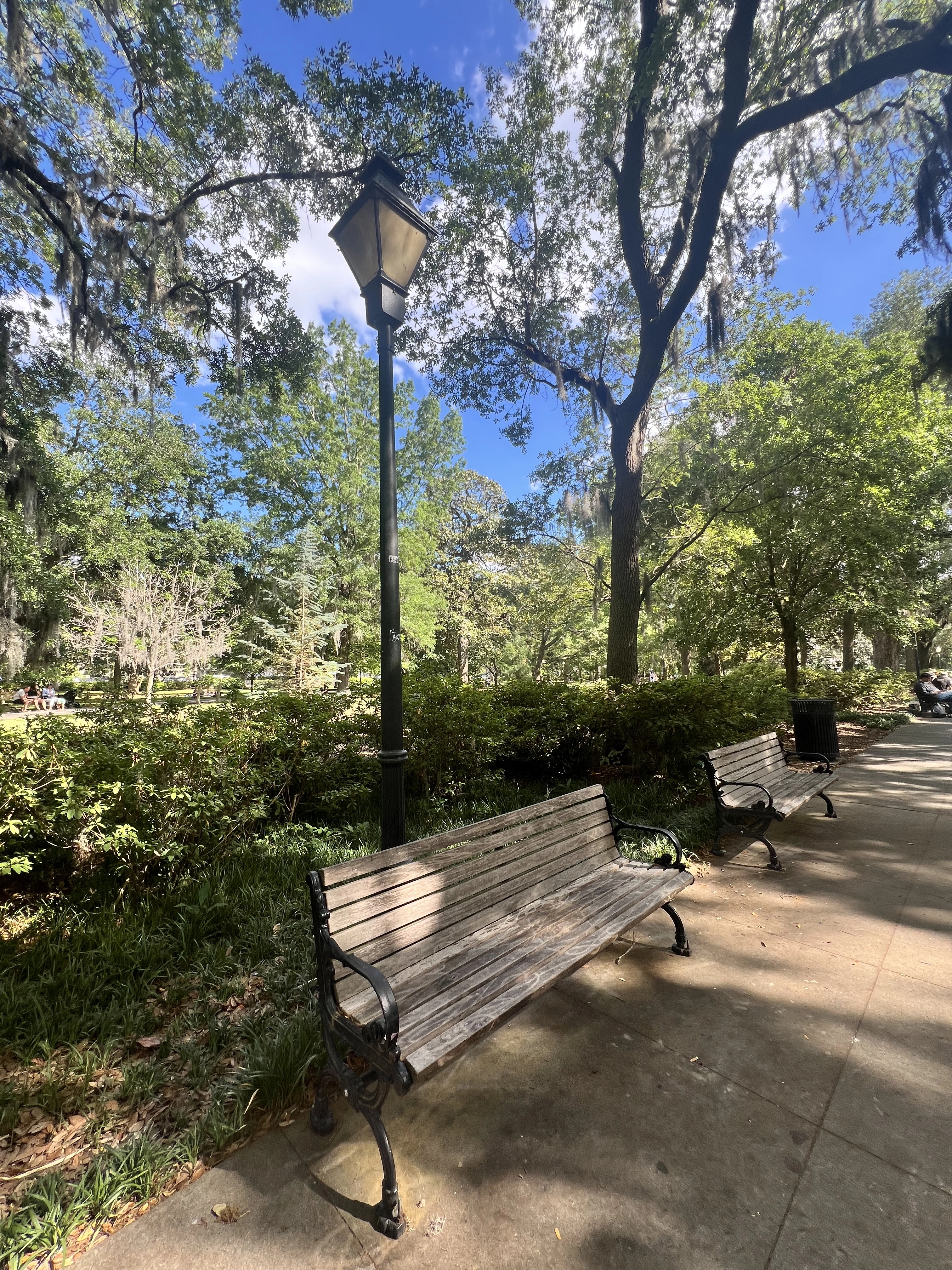 Peaceful summer scene with someone relaxing in dappled shade under trees